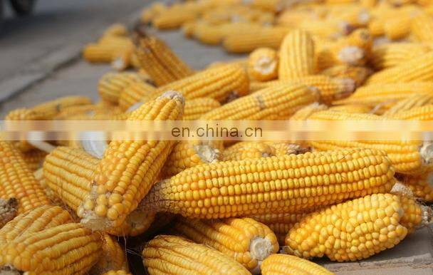 NEW TYPE COMMERCIAL sweet corn peeling machines/corn husk peeling machine