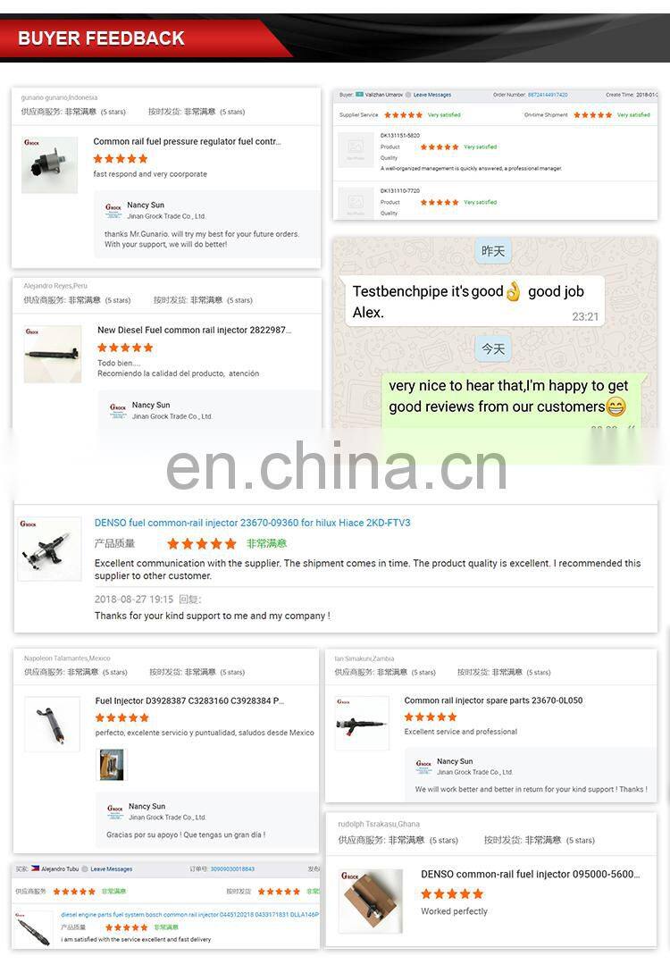 Genuine NANYUE diesel fuel injection pump B6AD548 13030186 13053063