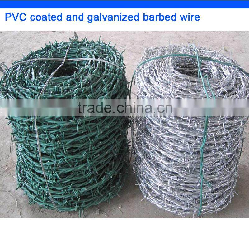 electro galvanzied barbed wire