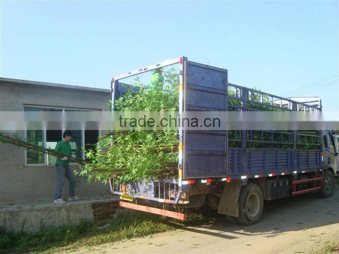 Artificial bamboo made in China