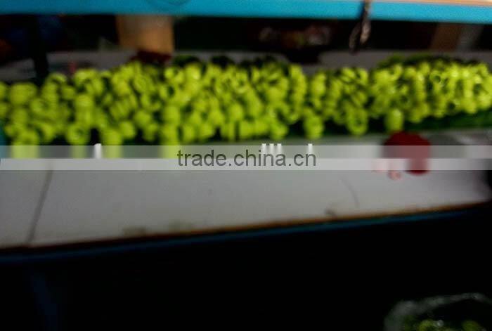 High quality silicone rubber cupping set