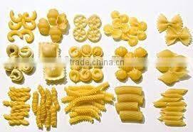 automatic pasta machine italy