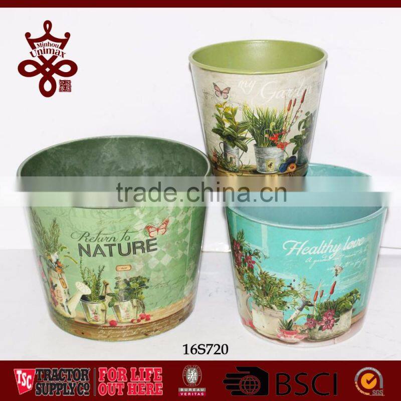 Potted Plants Colorful Window Boxes Shabby Chic Outdoor Planters