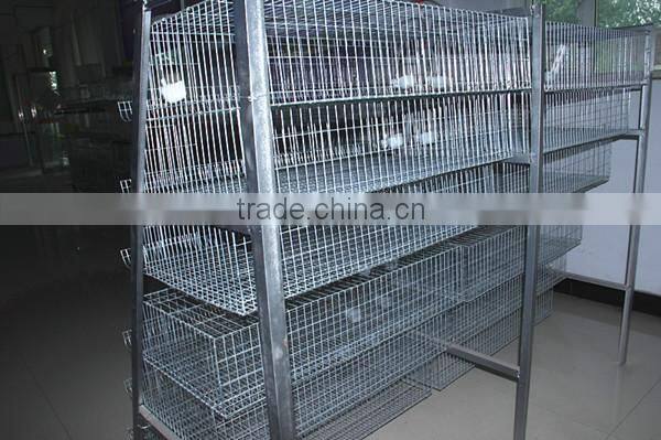 hot selling and good quality wire mesh quail cage