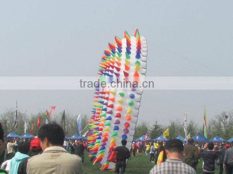 10m ring kite