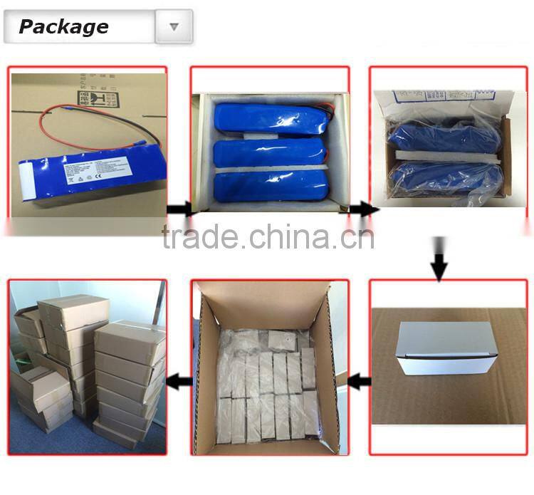 Lifepo4 Rechargeable Lithium Battery 12V 12Ah Pack