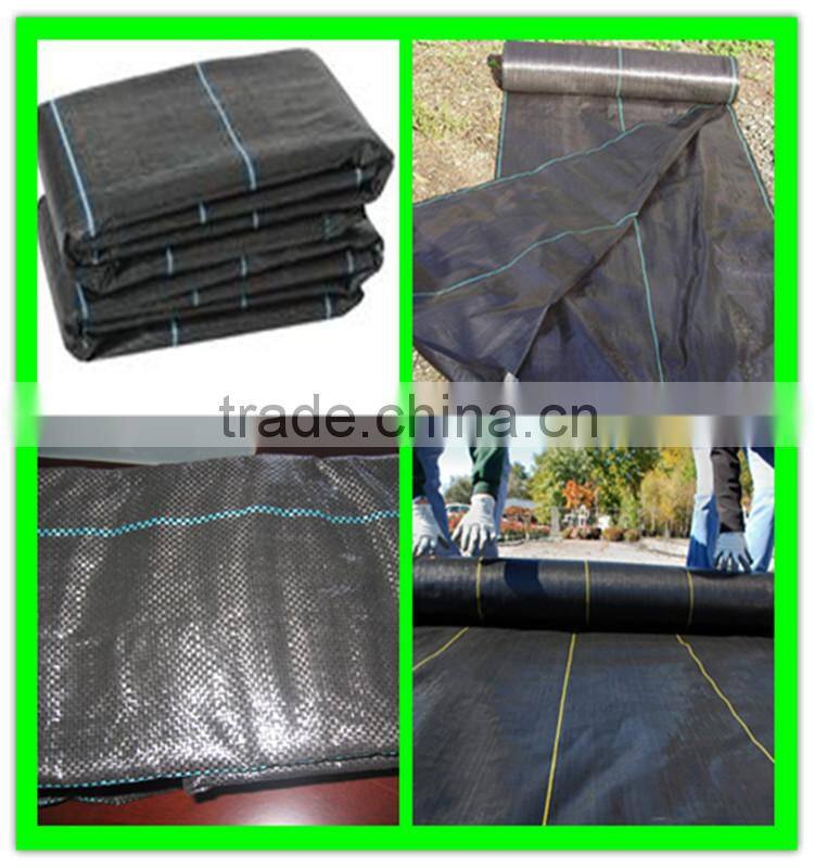 agriculture PP plastic black weed mat anti grass supplier