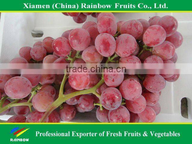 Global Grpaes/fresh grapes price