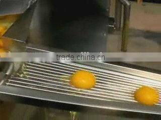 farm equipment stainless steel 3000pcs/h hen egg breaking machine for sale(008613823777570)