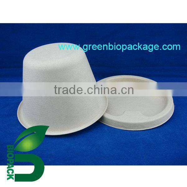 a disposable biodegradable eco-friendly bowl