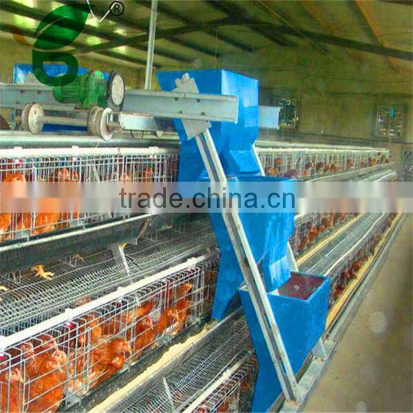 automatic chicken feeding system