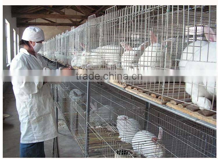 Real Fur Skin / Rex Rabbit Dyed Colors / Rex Rabbit Fur Skin For Coat