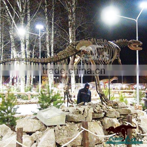 OA4016 high quality life size dinosaur skeleton model
