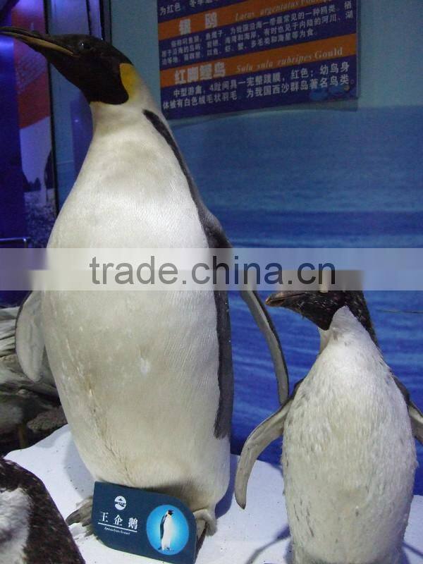 VGDW111-park decoration sea animal turtle