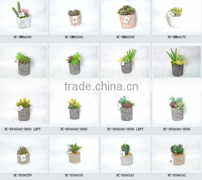 Green Artificial Succulent Plant In Round Pot