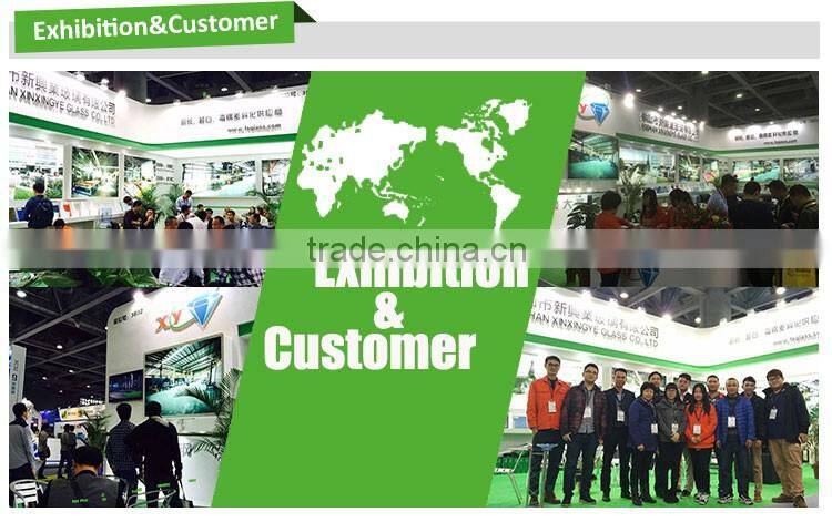 Customized laminate glass low iron, auto window glass