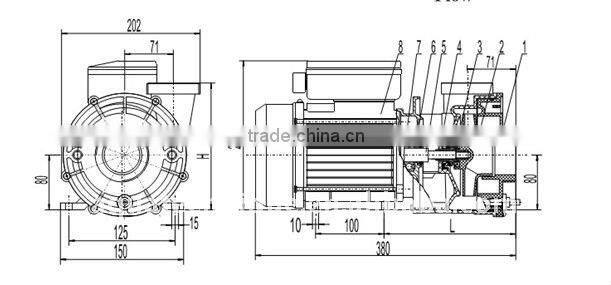 110V/220V powerful spa pool pump