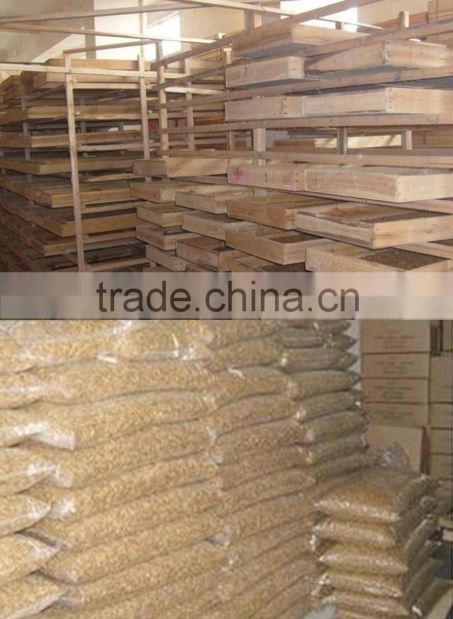 Wholesale Pet Food Dried Fish