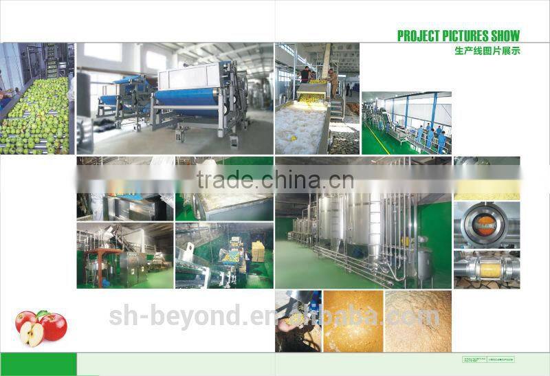 complete pear fruit juice processing line