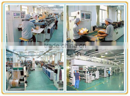 deep-processing die cut handle polybag/punch hole plastic bag