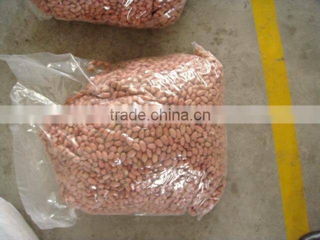 Peanut Kernel Wholesales Price