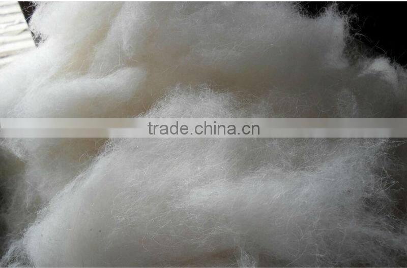 cotton wool rolls making machine/sheep wool combing machine