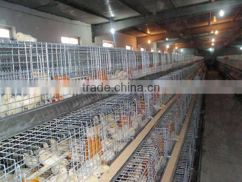 Professional customized double decker rabbit cage