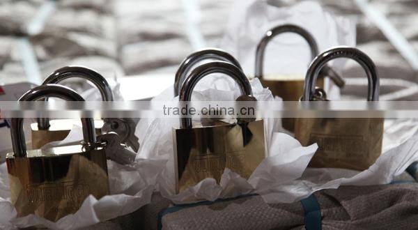 25mm standard abus padlocks