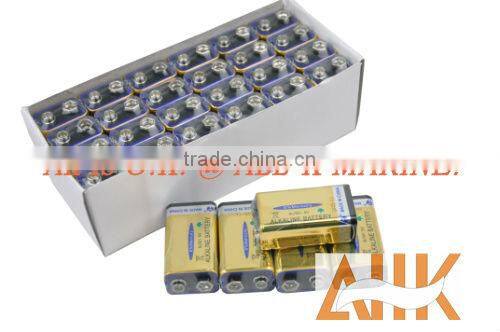 6LR61 Alkaline Batteries, Dry Battery, 9V