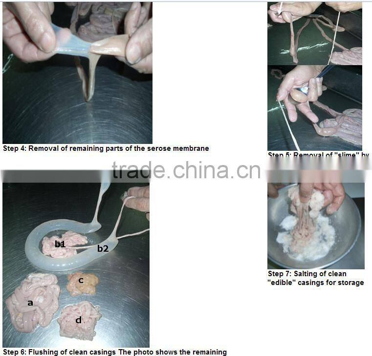 sheep hog casing pork intestine sausage casings sausage casing