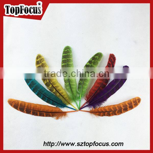 natural ringneck rounds cheap dyed pheasant feathers sale