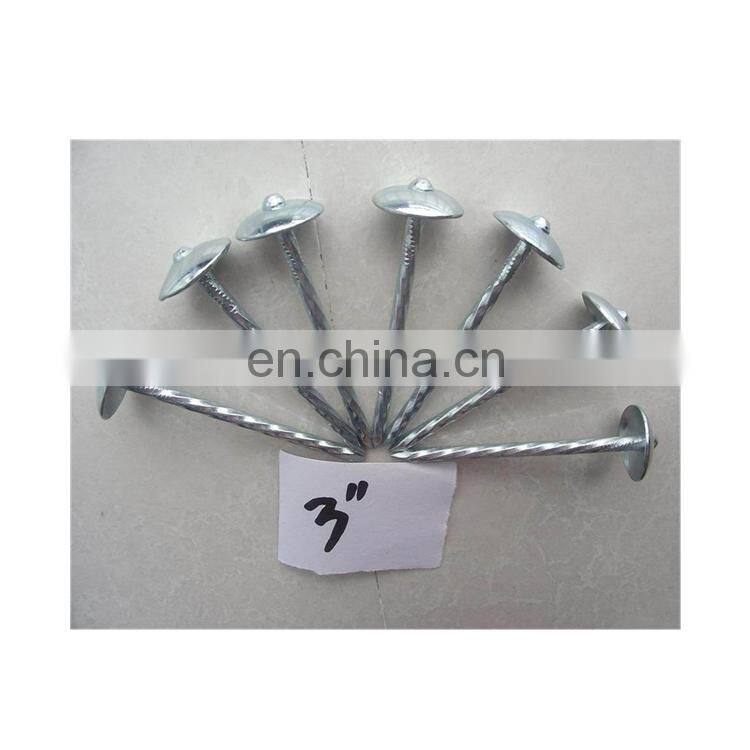 umbrella head galvanized roofing nails