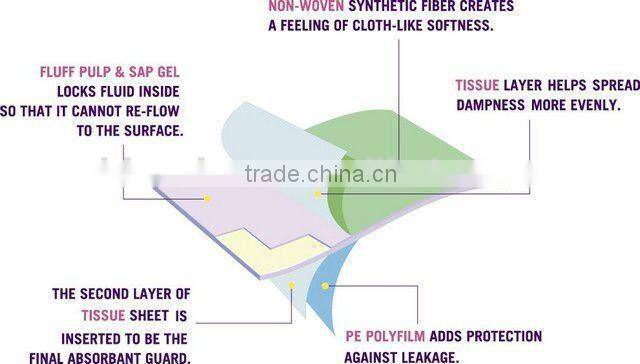 24"X24" Puppy Training Pads