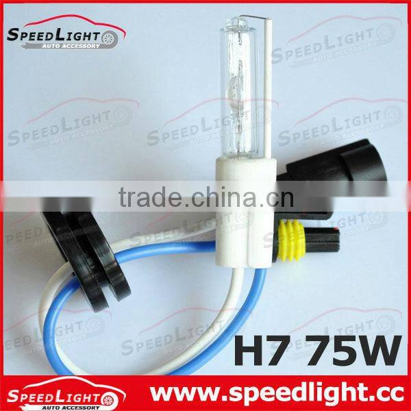 Factory Supply 18 Month Warranty HID Xenon Bulb Wholesale Car Bulbs