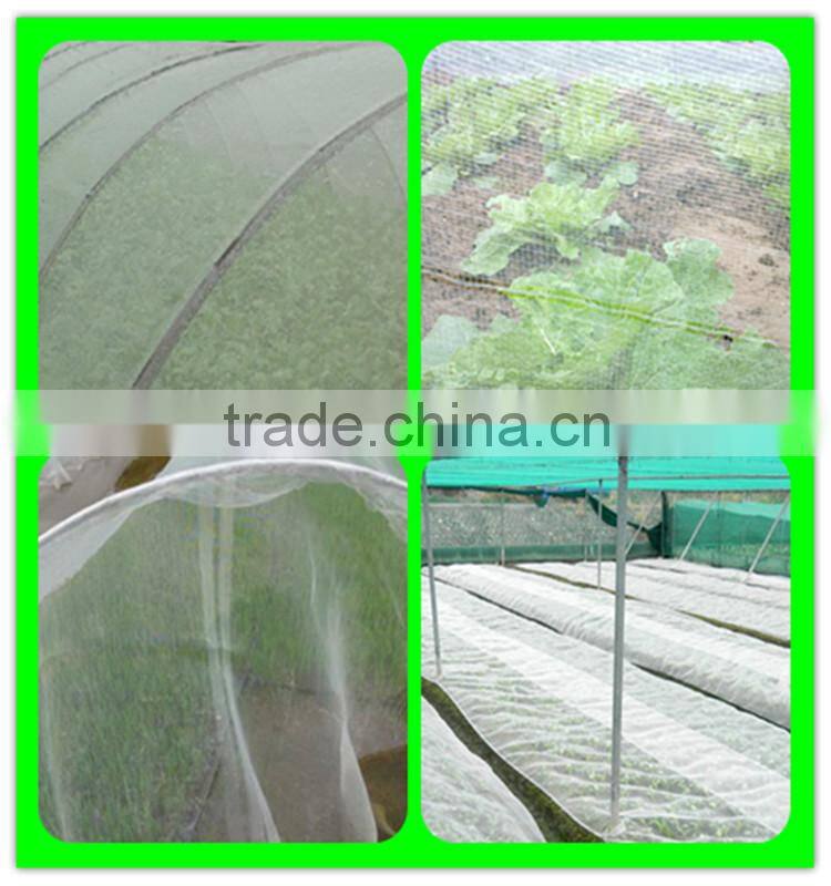 10M width greenhouse used insect control netting