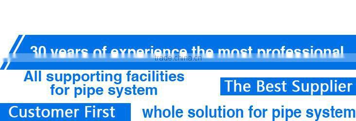 double check valve pvc check valve