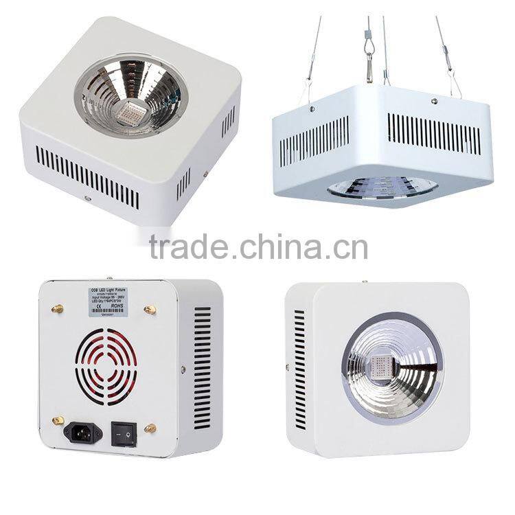 200-1200W led grow light full spectrum for plant, cob full spectrum led grow light indoor green house use