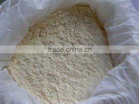 garlic powder