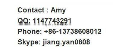 650W portable generator (WH950)