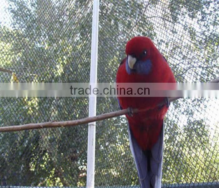 ss304 stainless steel cable net for aviary