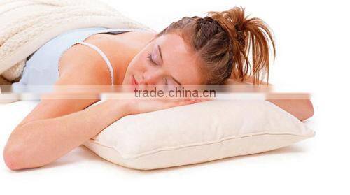 Duck Feather Standard Cotton Cover Machine Wahable pillow
