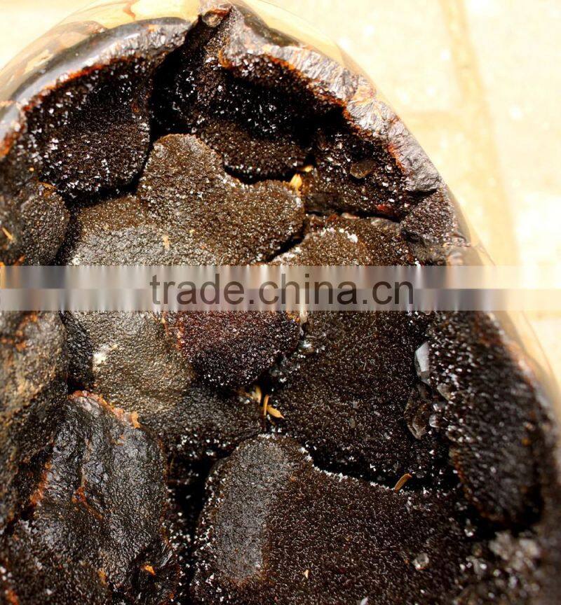 Dragon Egg Septarian Crystal Stone Geodes Turtle Stone Geodes Wholesale
