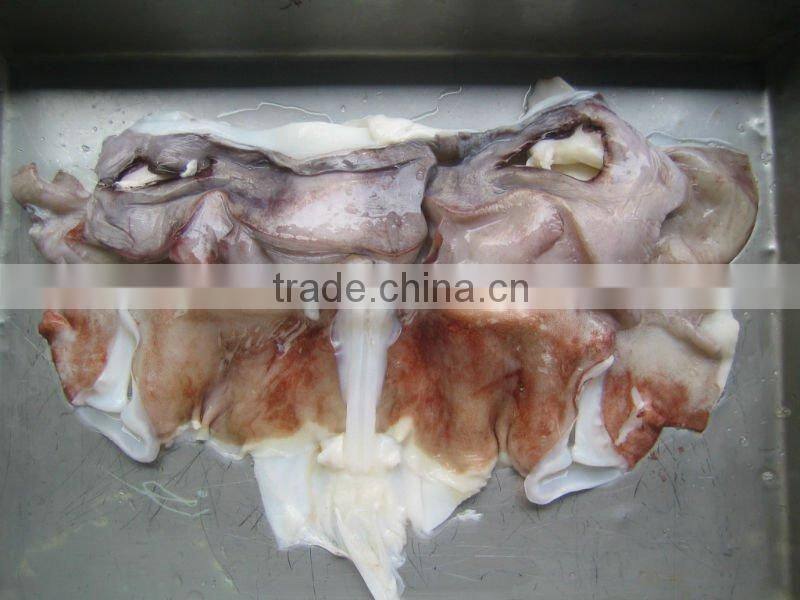 giant squid neck(Dosidicus Gigas)