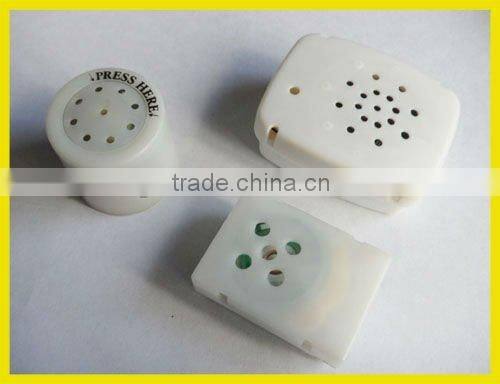 toy sound recorder
