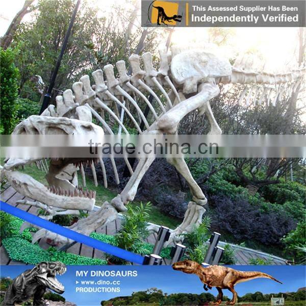 MY Dino-C043 Animated dinosaur skeleton for park