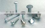 carriage bolt