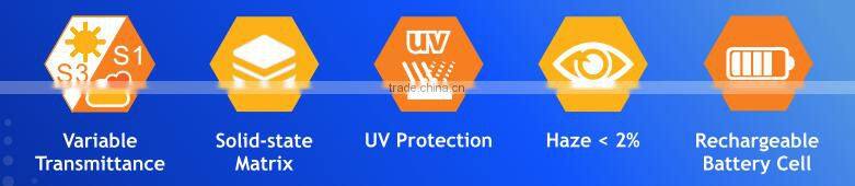 Taiwan Made Smart Tint Electrochromic Sports / Ski Goggle