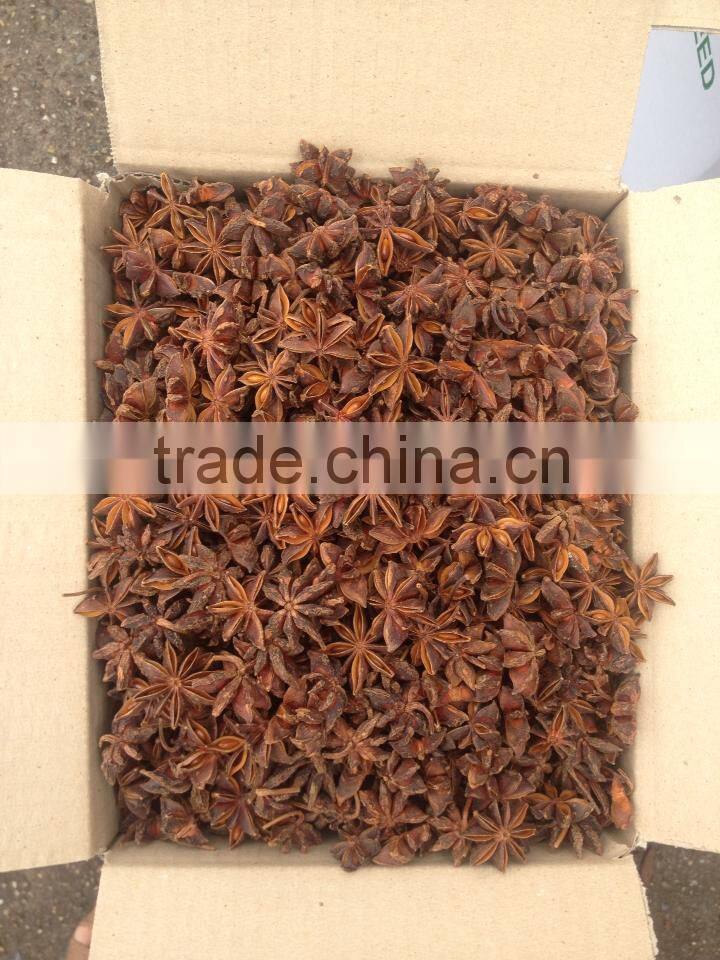 AUTUMN STAR ANISEED (skype: tuanminhco)