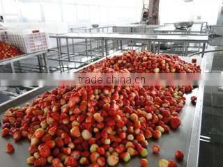 Wholesale high quality canned green peas