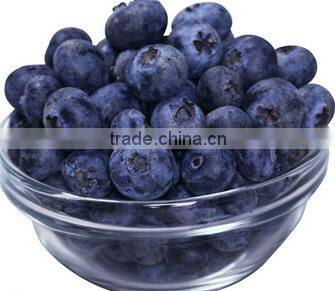 Frozen Berry Fruits/Frozen Raspberry